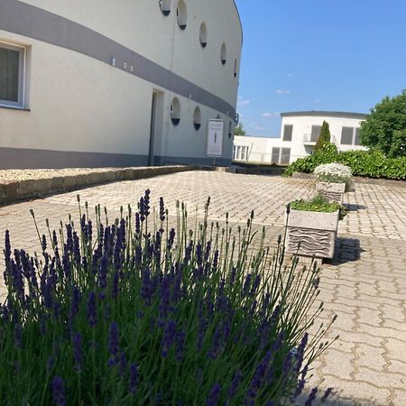 Nautilus Etterem Es Panzio Hotel Dabas Eksteriør billede